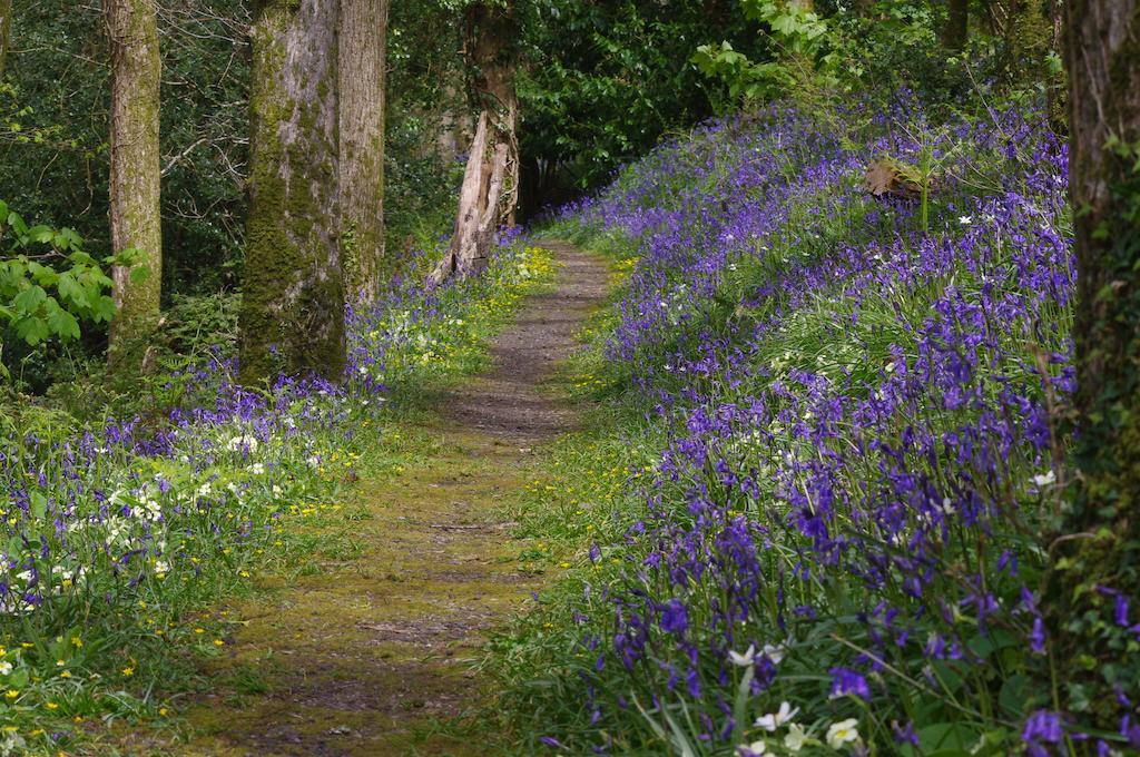 Trenython Manor Resort Fowey Esterno foto